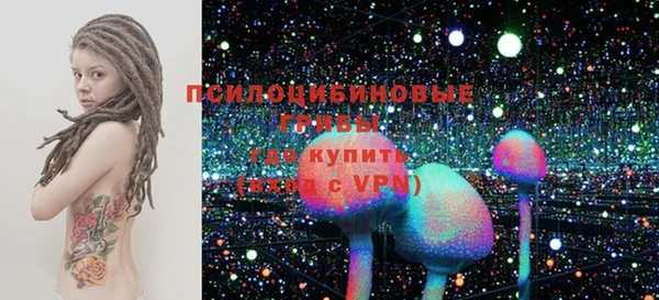 a pvp Богородицк