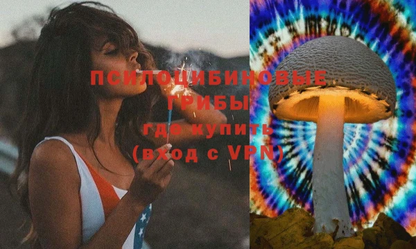бошки Богородск