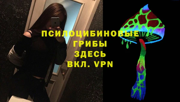 бошки Богородск