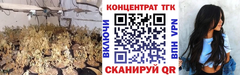 наркота  Калининград  ТГК THC oil 