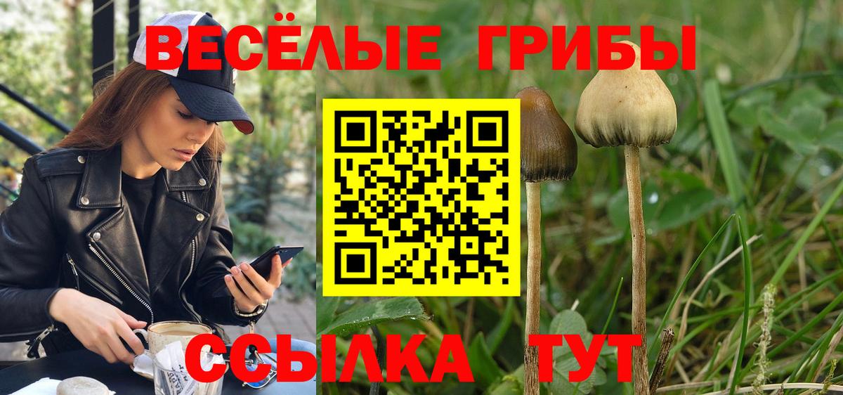 Галлюциногенные грибы MAGIC MUSHROOMS Калининград